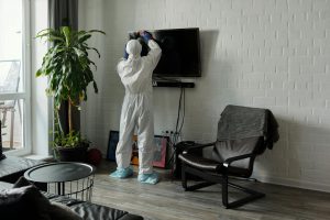 Professional home cleaning service in Baku