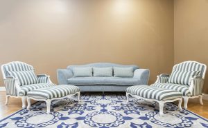 Professional sofa and upholstery cleaning