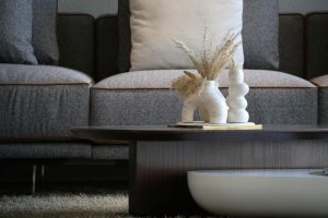 Professional sofa and upholstery cleaning