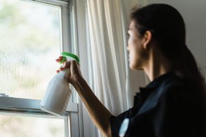 Professional window and glass cleaning